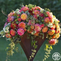 Garden Delight™ 13 Garden Delight™ -Precisiom Store Garden Delight 11