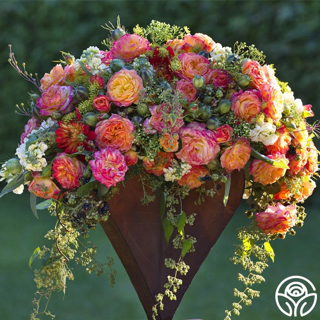 Garden Delight™ 7 Garden Delight™ - Image 7