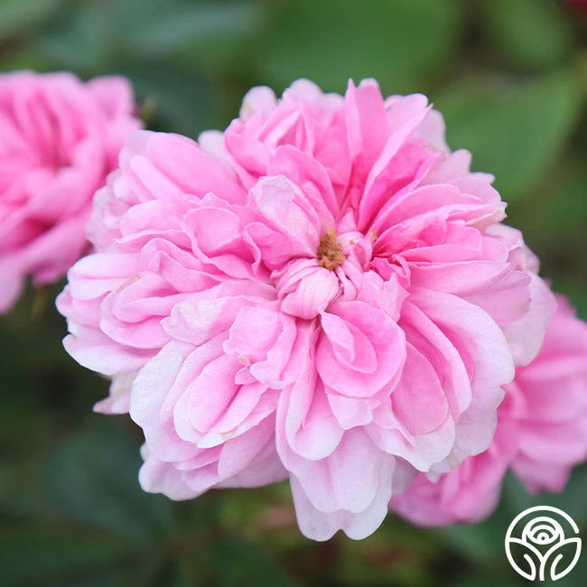 James Mitchell 1 James Mitchell