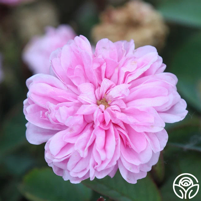 James Mitchell 5 James Mitchell - Image 5