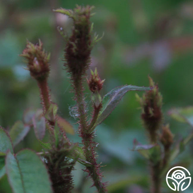 James Mitchell 4 James Mitchell - Image 4