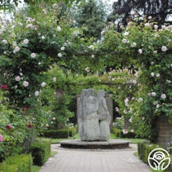 The Generous Gardener™ 16 The Generous Gardener™ -Precisiom Store The Generous Gardener 256