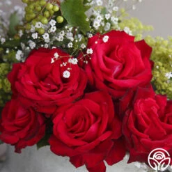 Sunbelt® Desmond Tutu 6 Sunbelt® Desmond Tutu -Precisiom Store desmond tutu 1 5