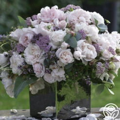 Parfuma® First Crush™ -Precisiom Store first crush 5 1