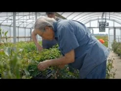 Robert Bruce 21 Robert Bruce -Precisiom Store hqdefault 3 5