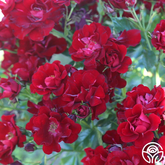 Keep In Touch 6 Keep In Touch - Image 6