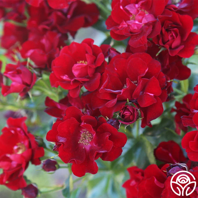 Keep In Touch 1 Keep In Touch