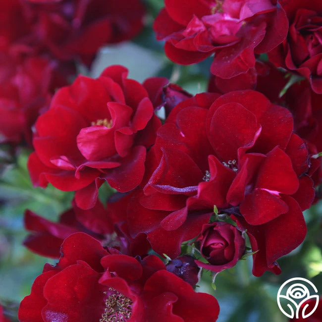 Keep In Touch 5 Keep In Touch - Image 5