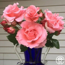 Paris De Yves St. Laurent ™ -Precisiom Store paris de yves st. laurent 2