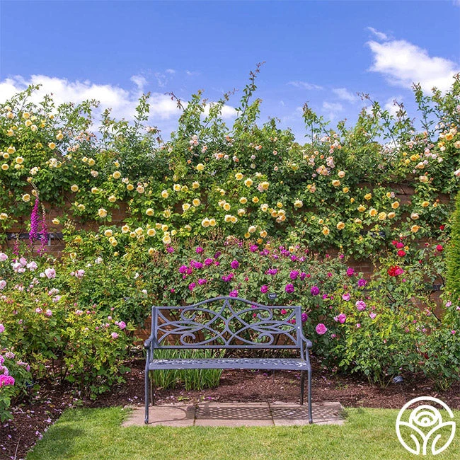 The Pilgrim® 6 The Pilgrim® - Image 6