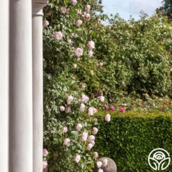 The Generous Gardener™ 18 The Generous Gardener™ -Precisiom Store thegenerousgardener logo 03